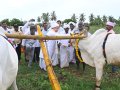 04-Sasyavruddhi-bijaropannotsavam-22June2024